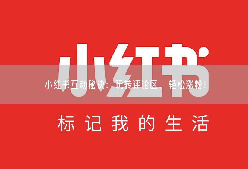 小红书互动秘诀：玩转评论区，轻松涨粉！