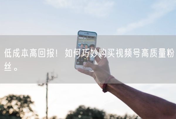 低成本高回报！如何巧妙购买视频号高质量粉丝。