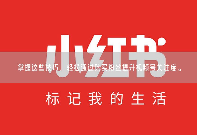 掌握这些技巧，轻松通过购买粉丝提升视频号关注度。