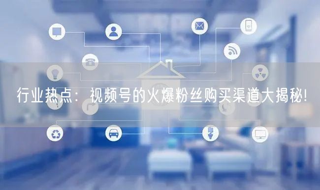 行业热点：视频号的火爆粉丝购买渠道大揭秘!