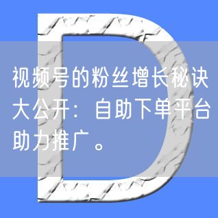 视频号的粉丝增长秘诀大公开：自助下单平台助力推广。