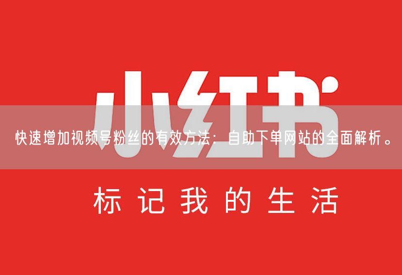 快速增加视频号粉丝的有效方法：自助下单网站的全面解析。